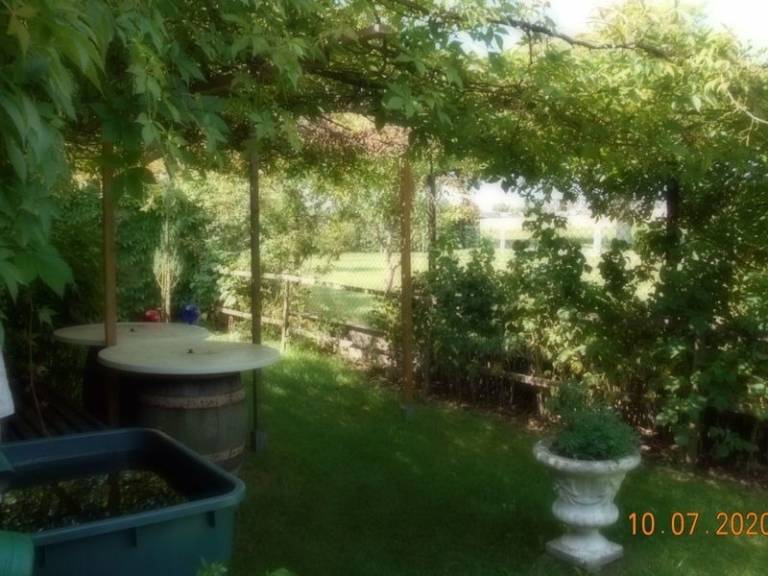foto8