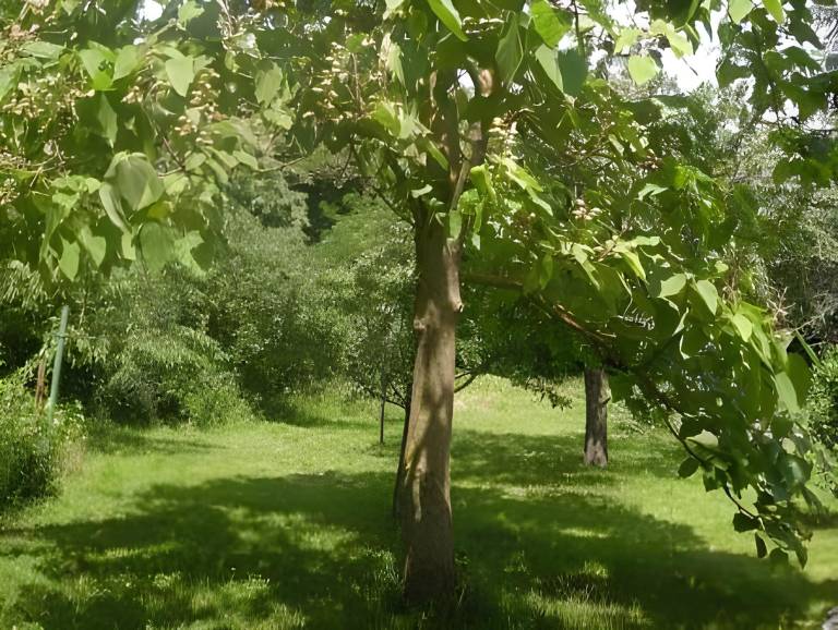foto46