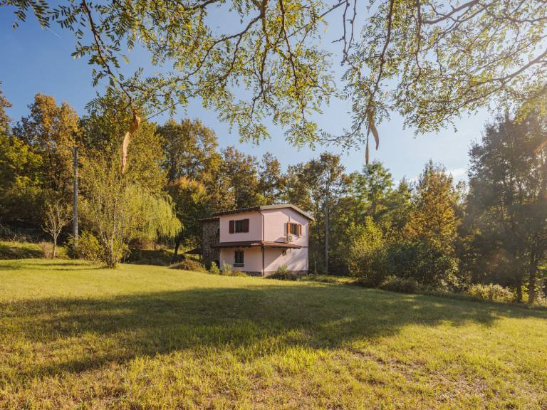 Vacation home with garden, patio & barbeque — photo 4