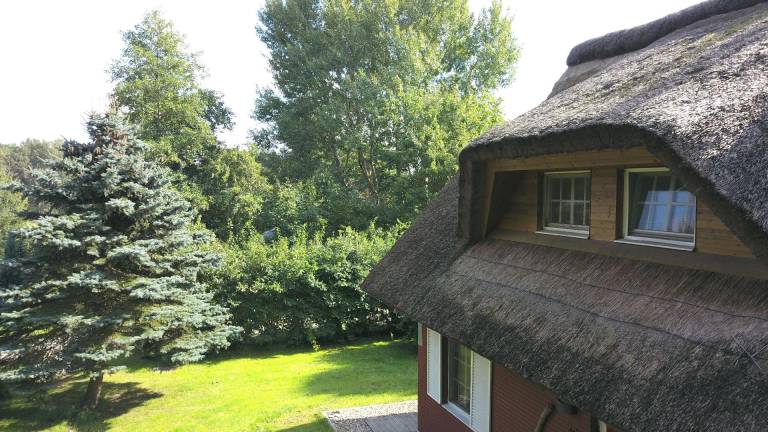 foto17