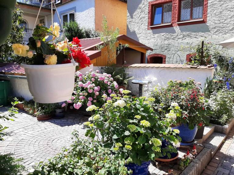 foto16