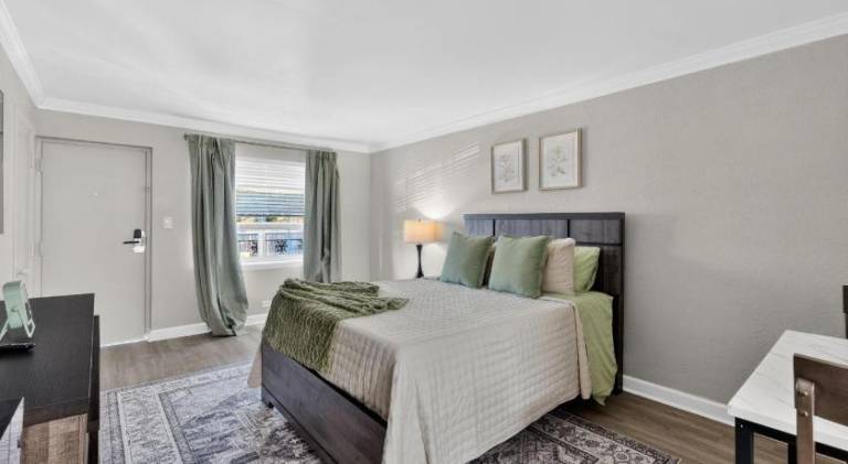 Lovely apartment | Dogs allowed in Charlotte, NC