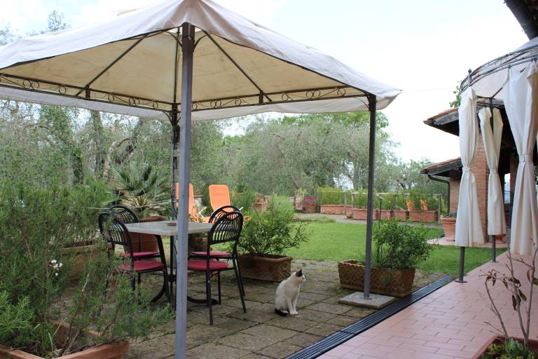 Farm with garden & grill — photo 3
