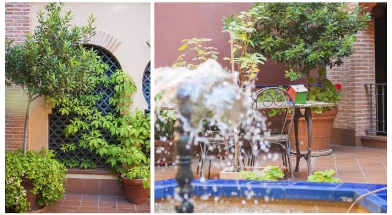 Rental apartment with garden & jacuzzi | Near Toledo Cathedral in Toledo