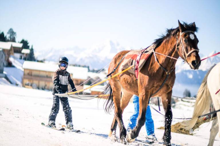 Ferienwohnung in Saint-Bonnet-en-Champsaur für max. 4 Personen Ferienwohnung in Saint-Bonnet-en-Champsaur für max. 4 Personen