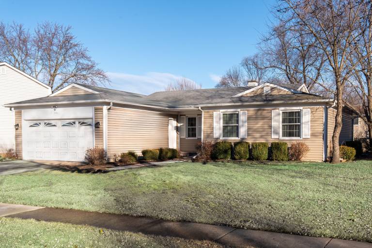 House with garden in Hoffman Estates, IL