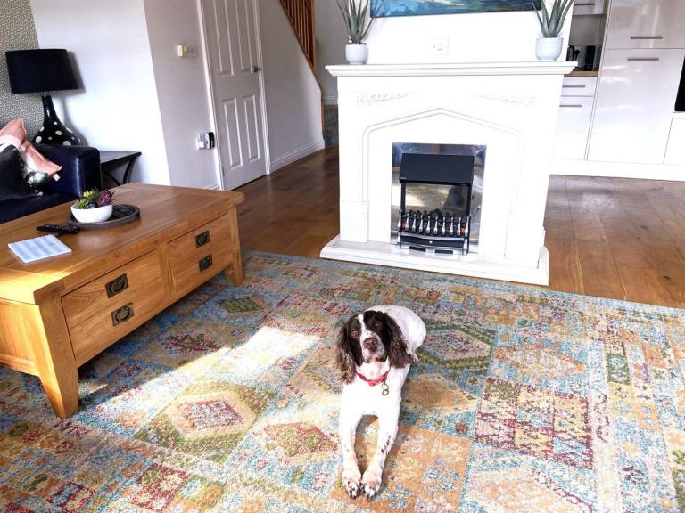 Fully equipped cottage with yard | Water view | Pets allowed — photo 5