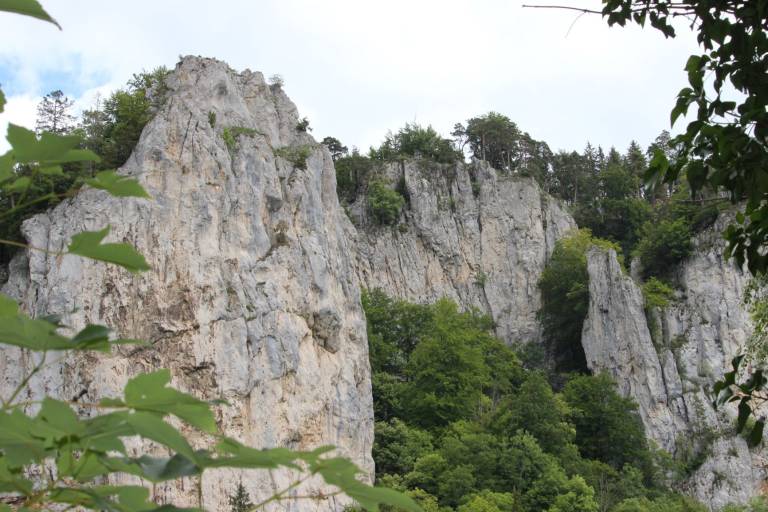 foto33
