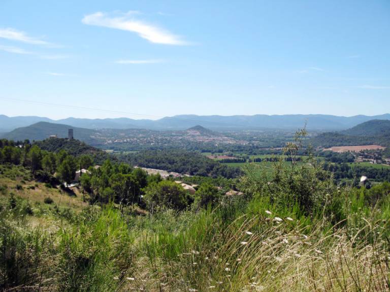 foto42