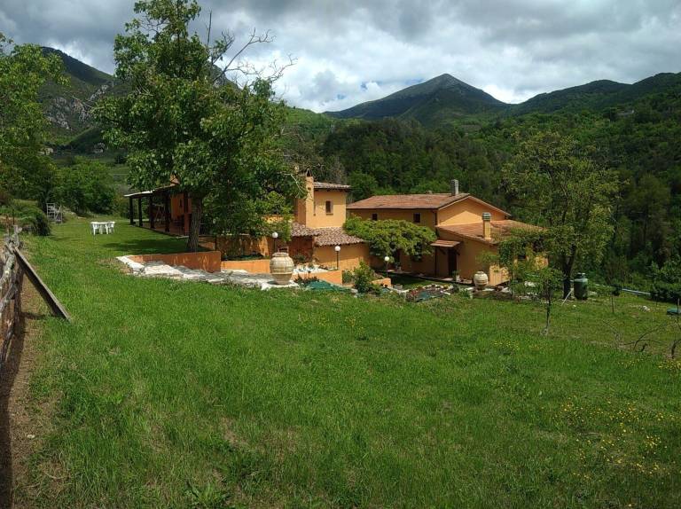 foto11