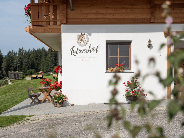 foto2