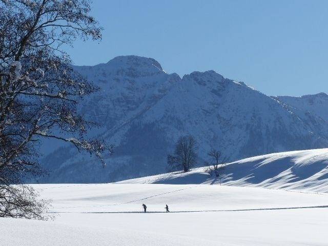 foto11