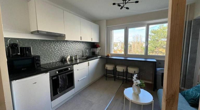 Appartement Gaillard