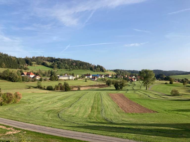 foto11