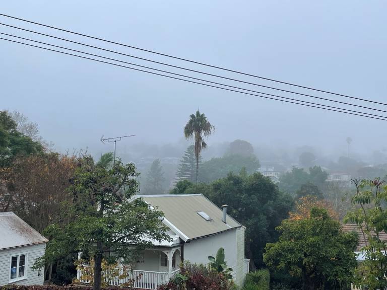 House  Manly Council