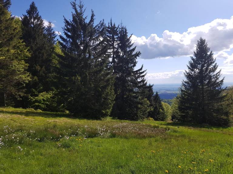 foto21
