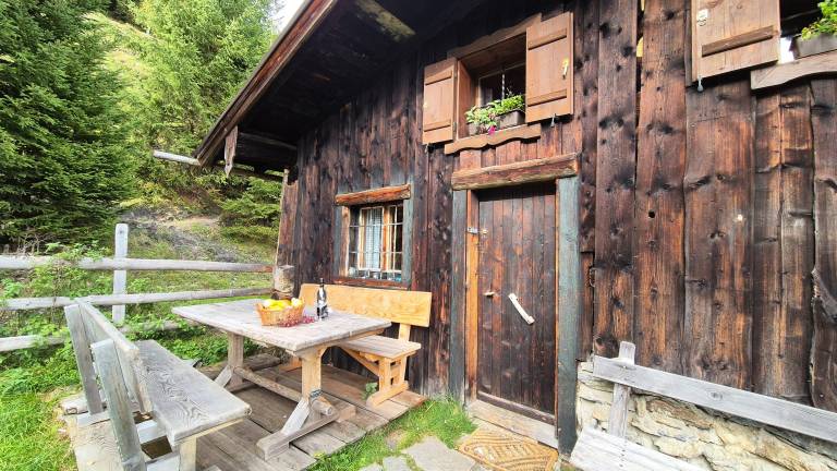 Cabin with yard | Dogs allowed — photo 3