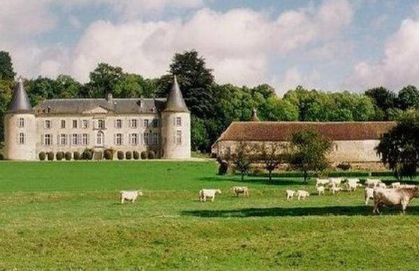 Chateau de Beaujeu — photo 4