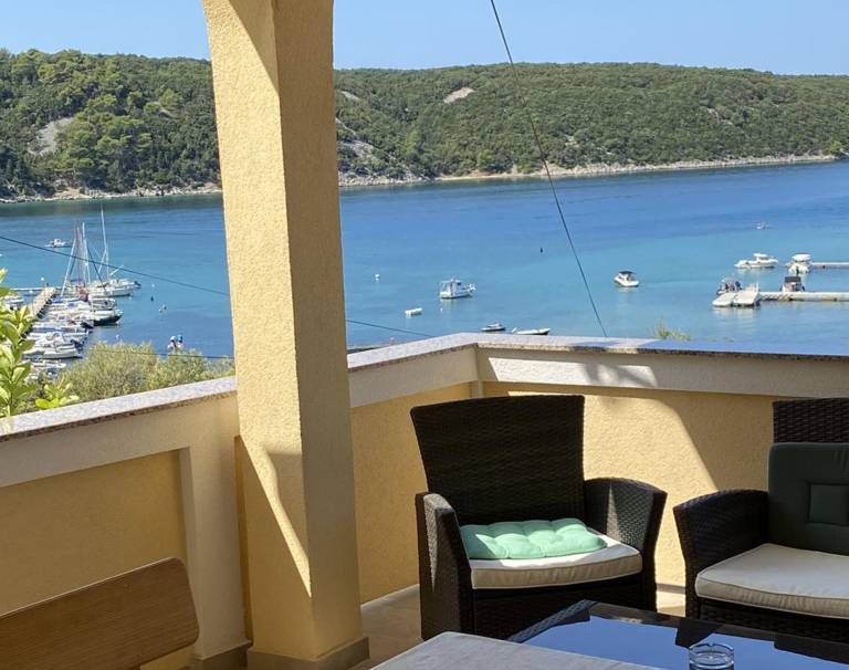 Children-friendly wonderful apartment with grill, terrace & garden | Dogs allowed in Rab