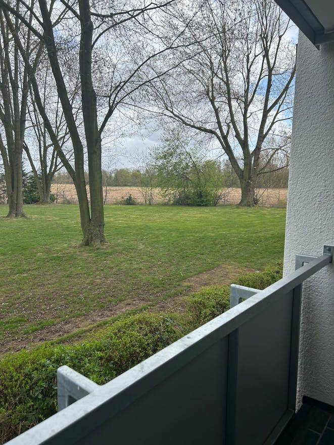foto36
