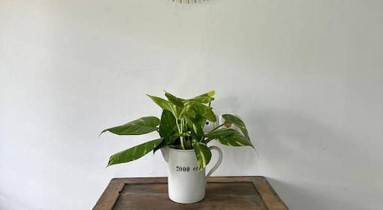 foto30