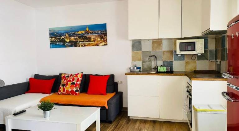 Fully equipped pleasant holiday apartment | Pets allowed in Seville