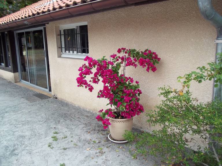 Maison de vacances Azur