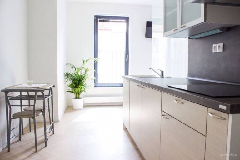 Ferienwohnung Žižkov