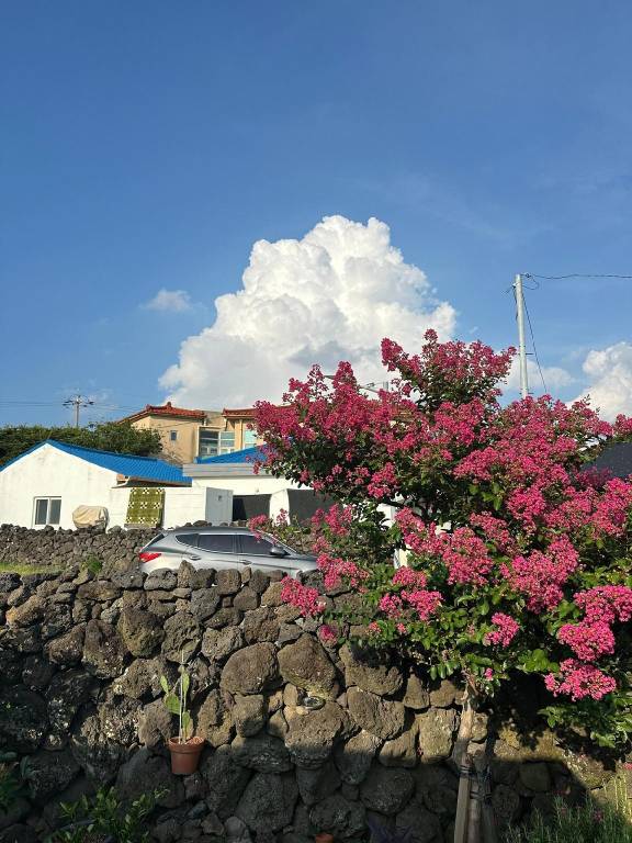 foto45