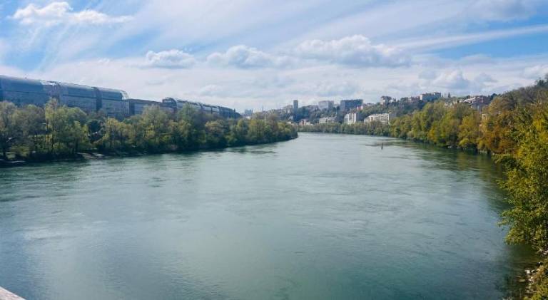 Lovely holiday apartment | Pets allowed in Villeurbanne