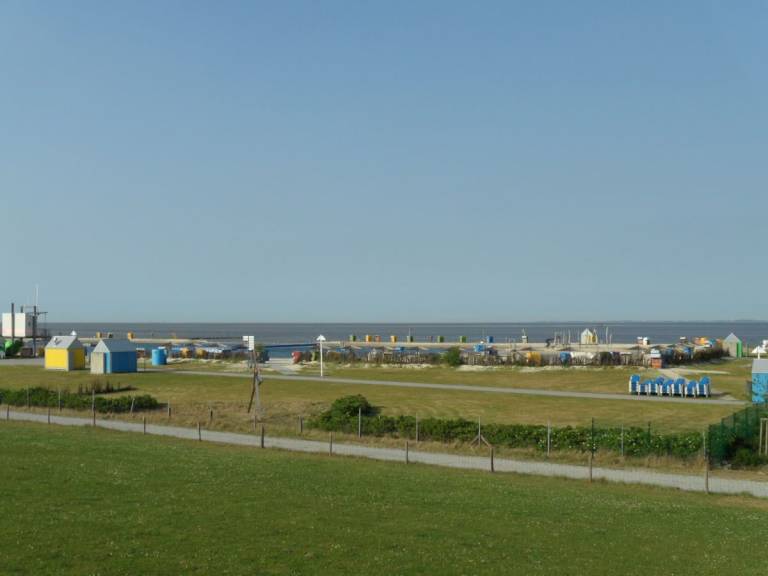foto19