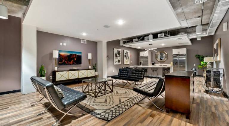 Ample serviced apartment with terrace | Near Bank of America Plaza | Pet-friendly — photo 5