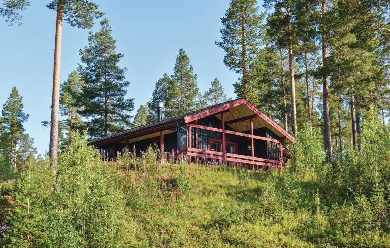 Ferienhaus  Lofsdalen