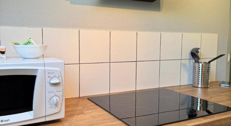 Rental apartment with 1 room for 3 persons — photo 3
