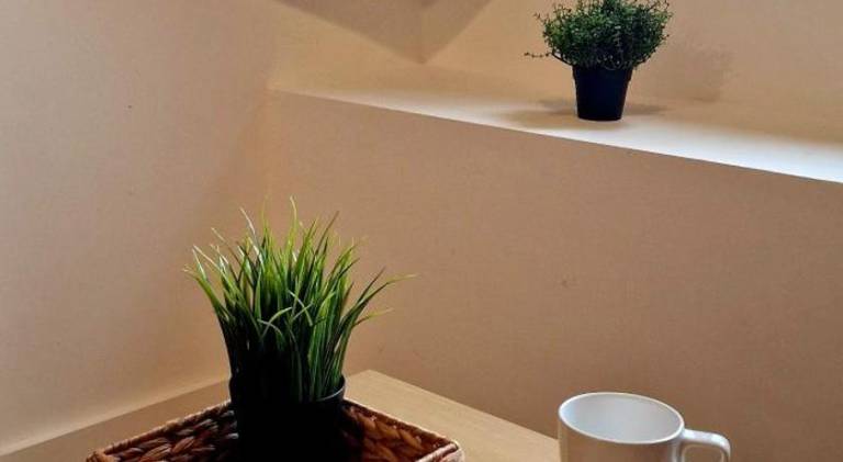 Lovely rental apartment | Pets allowed — photo 5