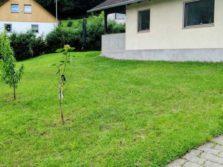 foto24