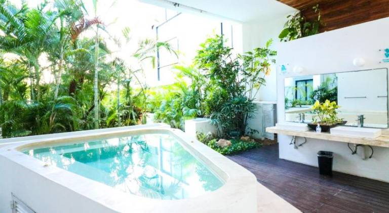 Pleasant holiday apartment with pool, jacuzzi & patio | Next to the beach | Pets are welcome in Playa del Carmen