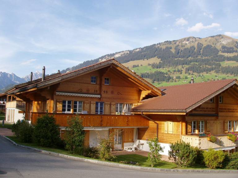 Appartement La Lenk