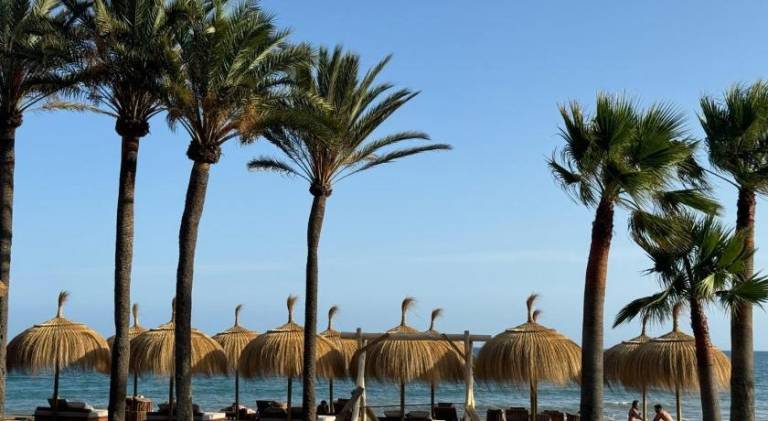Nice holiday apartment with patio | Beach nearby | Pets allowed — photo 3