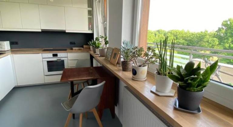 Holiday apartment | Pet-friendly — photo 3