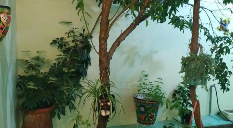 foto34
