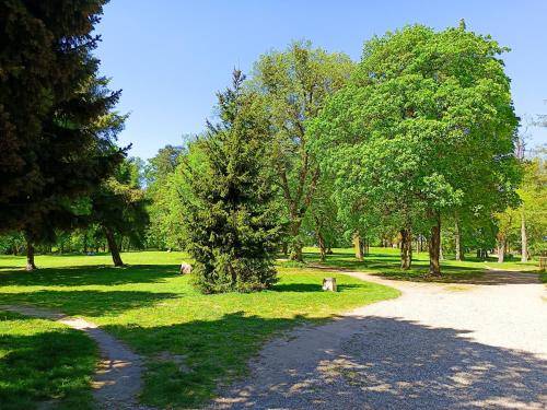 Apartament Szczytno