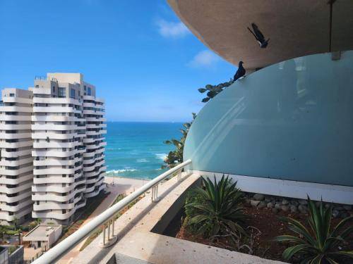 Apartament Casablanca