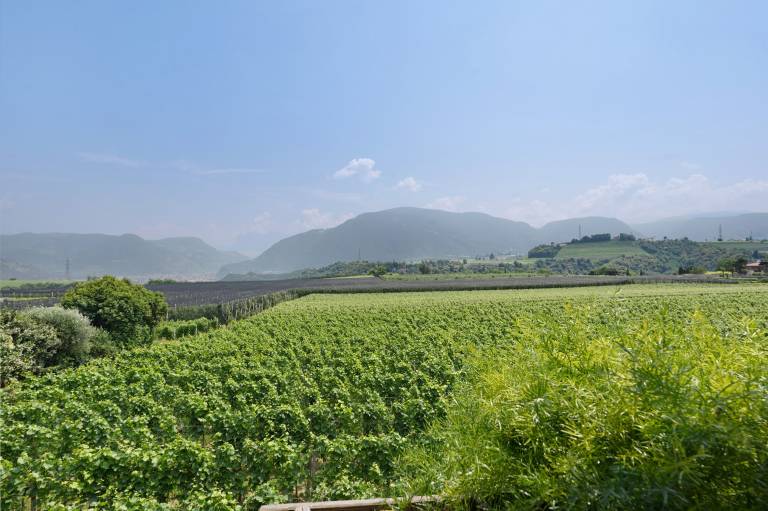 Apartment 'Gala' with Mountain View, Shared Terrace and Wi-Fi — photo 3
