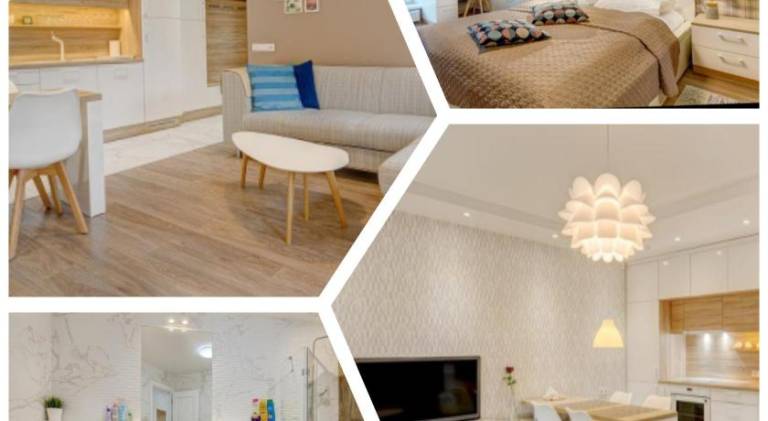 Rental apartment with 1 room for 5 persons in Vilnius
