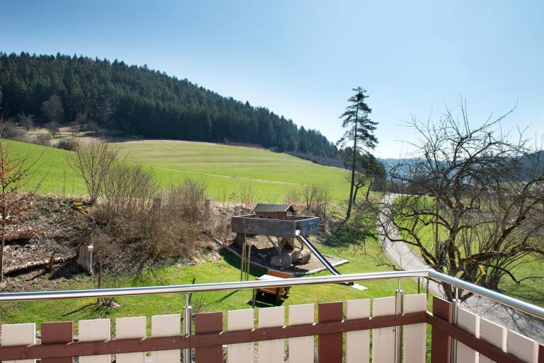 Apartment 'Ferienwohnung Felix' with Balcony and Wi-Fi — photo 3