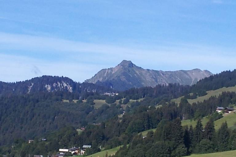 Chalet Les Gets