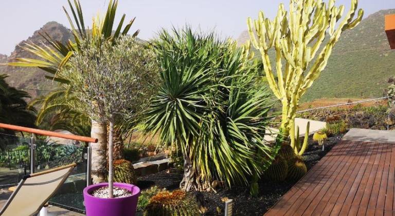 Villa with patio, barbecue & garden in Santa Cruz de Tenerife