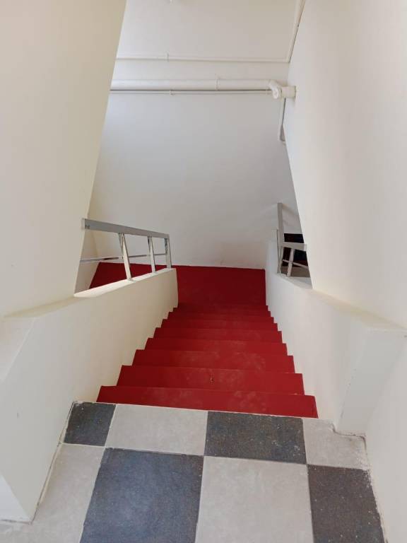 foto7