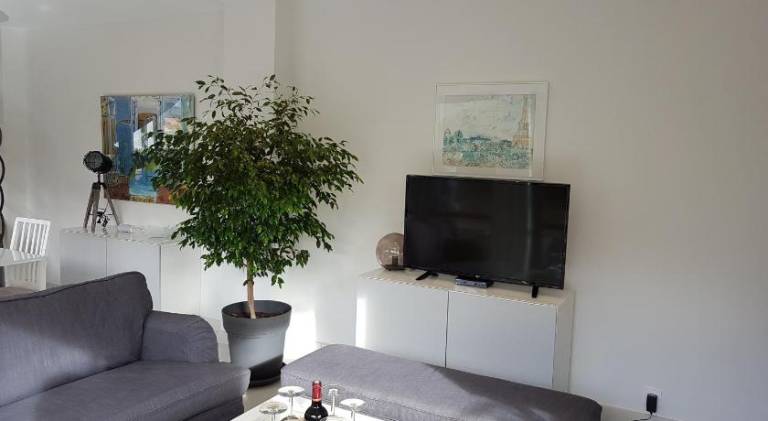 House | Dogs allowed — photo 2